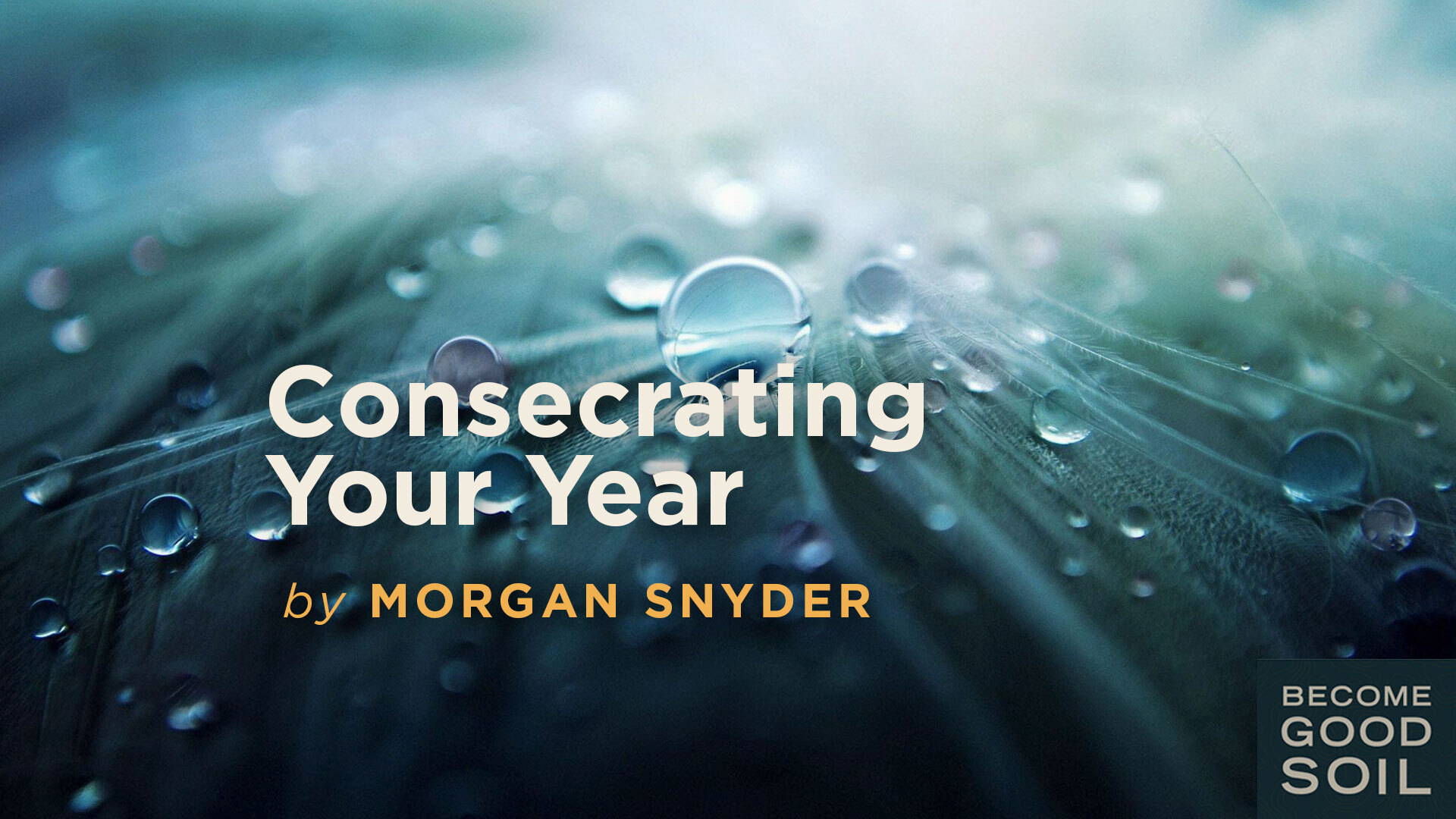 consecrating-your-year-become-good-soil